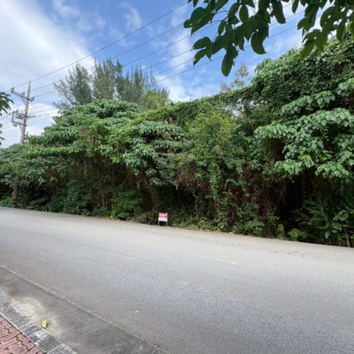 観音堂景観地区970坪原野