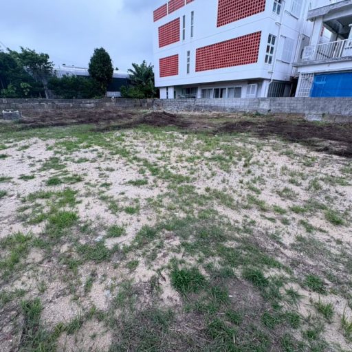 大浜 角地に162坪 売地